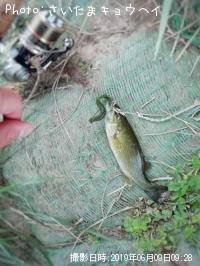 �֥�å��Х�