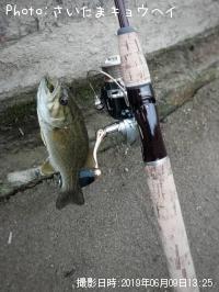 ¥Ö¥é¥Ã¥¯¥Ð¥¹