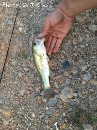 �֥�å��Х�