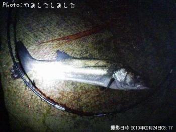 �����Х�