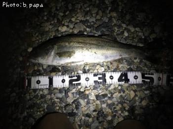 �����Х�