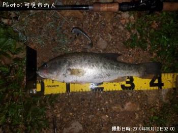 ¥Ö¥é¥Ã¥¯¥Ð¥¹