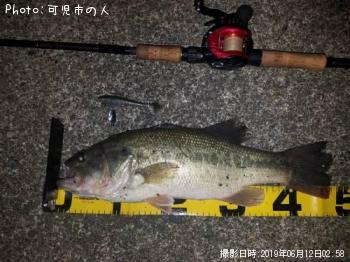 �֥�å��Х�