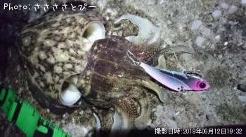 ��󥴥��������ޥ������勵�ꥬ��