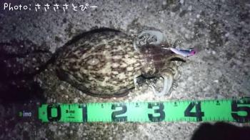 ��󥴥��������ޥ������勵�ꥬ��