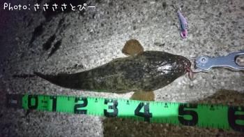 ��󥴥��������ޥ������勵�ꥬ��