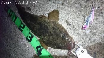 ��󥴥��������ޥ������勵�ꥬ��