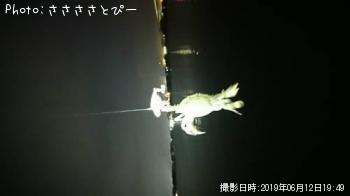 ��󥴥��������ޥ������勵�ꥬ��