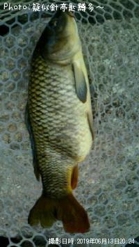 µ¶¸ñ¡ª¡ª