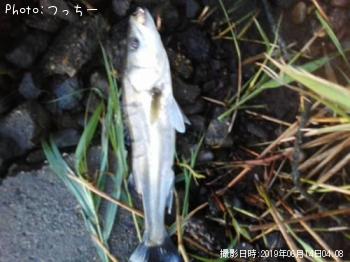 �����Х�