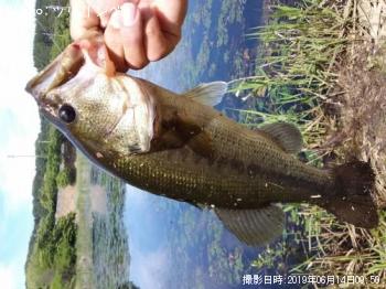 �֥�å��Х�