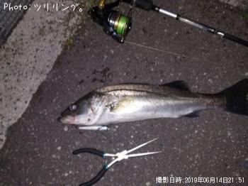 �����Х�