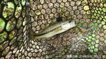 �֥�å��Х�