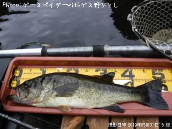 �֥�å��Х�