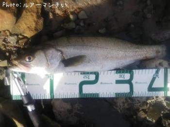 �����Х�