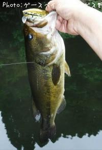 �֥�å��Х�