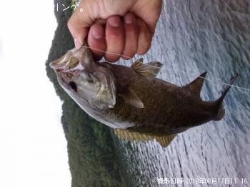 ¥¹¥â¡¼¥ë¥Þ¥¦¥¹¥Ð¥¹