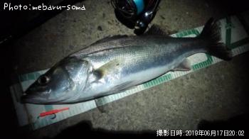 �����Х�