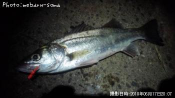 �����Х�