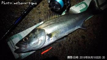 �����Х�