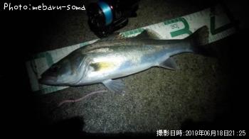 �����Х�