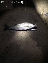 �����Х�