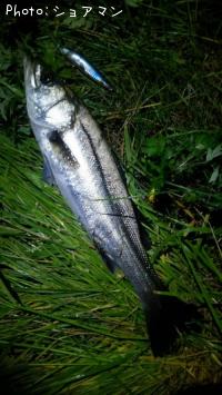 �����Х�