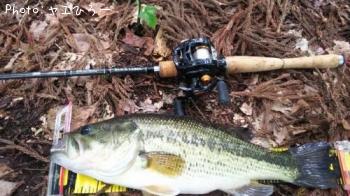 �֥�å��Х�