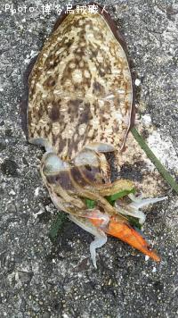 ¥«¥ß¥Ê¥ê¥¤¥«