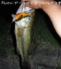 �֥�å��Х�