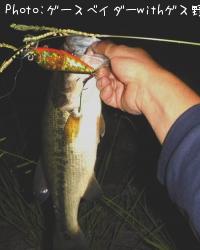 �֥�å��Х�