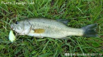 �֥�å��Х�