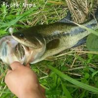 ¥Ö¥é¥Ã¥¯¥Ð¥¹