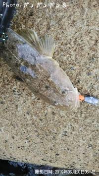 �ޥ���