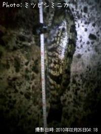 �����ʥ�