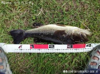 ¥Ö¥é¥Ã¥¯¥Ð¥¹