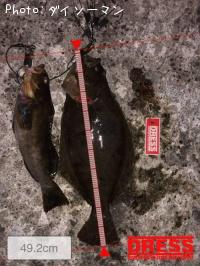 �ҥ�ᡢ���֥��