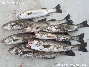 �����Х�