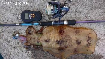 �����ꥤ��