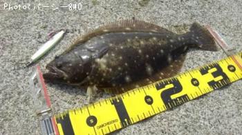 �ҥ��ʥ�����