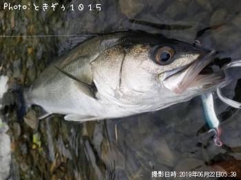 �����Х�