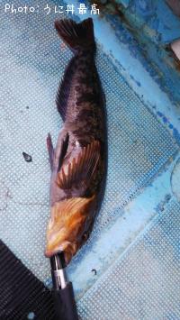 �����ʥ�