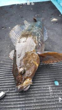 �����ʥ�