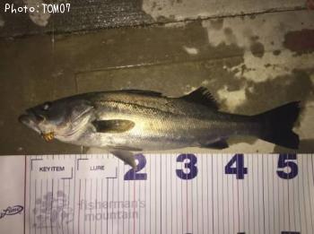 �����Х�