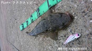 �ޥ������勵�ꥬ��