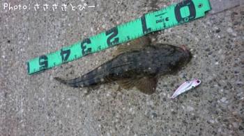 �ޥ������勵�ꥬ��