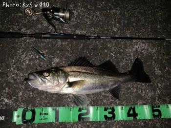 �����Х�