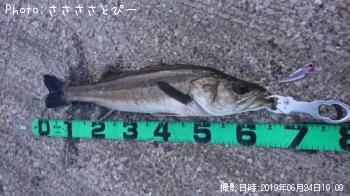 �����Х�