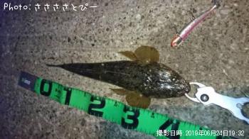 �ޥ������勵�ꥬ��