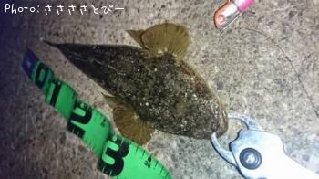 �ޥ������勵�ꥬ��